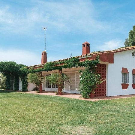 La Casita De Hato Pinos, Un Rincon En Donana Aznalcázar المظهر الخارجي الصورة