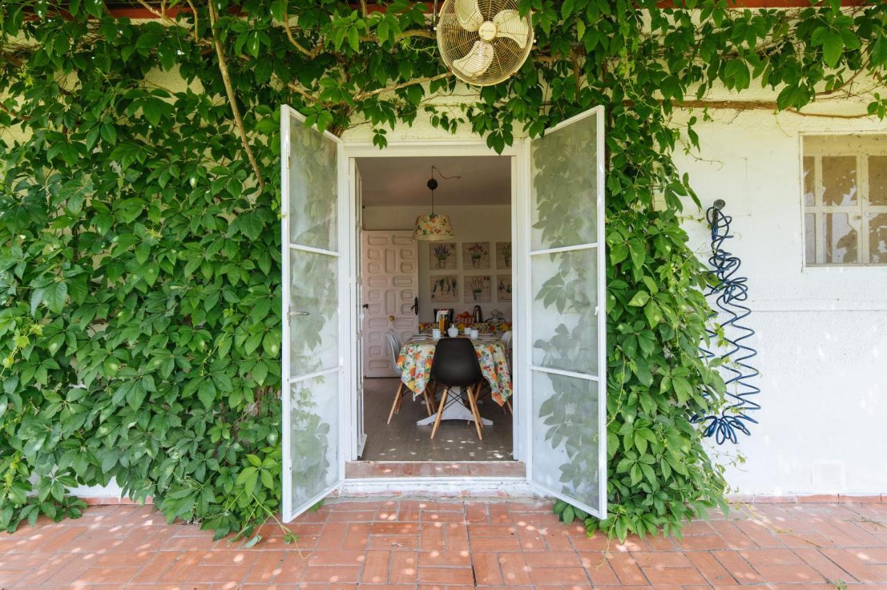 La Casita De Hato Pinos, Un Rincon En Donana Aznalcázar المظهر الخارجي الصورة